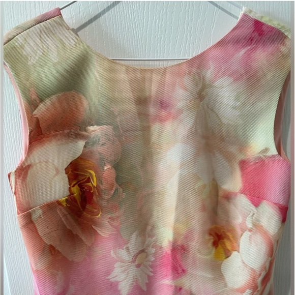 Ted Baker Damona Rose On Canvas Sleeveless Pink Floral Mini Dress - Picture 7 of 12